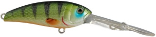 0001_Spro_Gomen_Shad_60_[Green_Perch].jpg